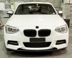 Picture for category F20 Carbon Fibre Accessories