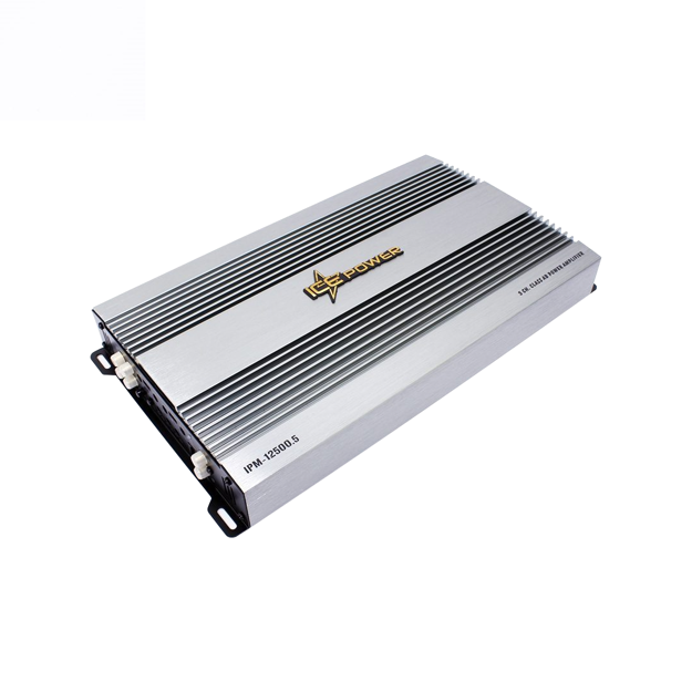 Ice Power IPM-12500.5 (12 500W) 5CH Amp